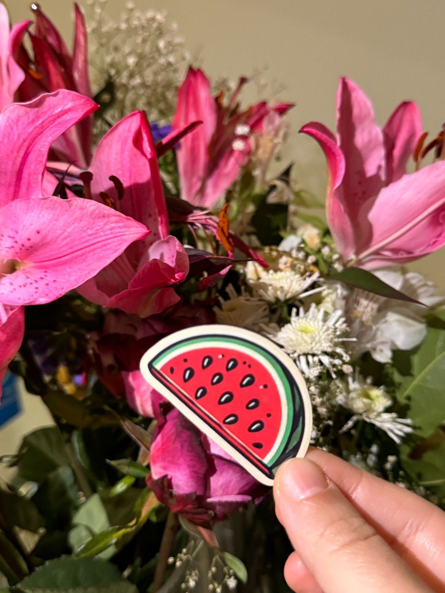 Wassermelonen-Sticker
